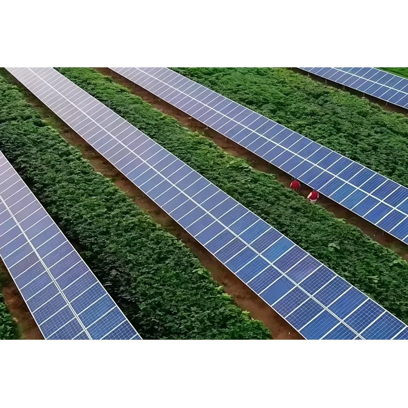 Điều gì tạo nên hiệu quả cho Hệ thống theo dõi năng lượng mặt trời một trục nghiêng cho các dự án quang điện hiện đại?